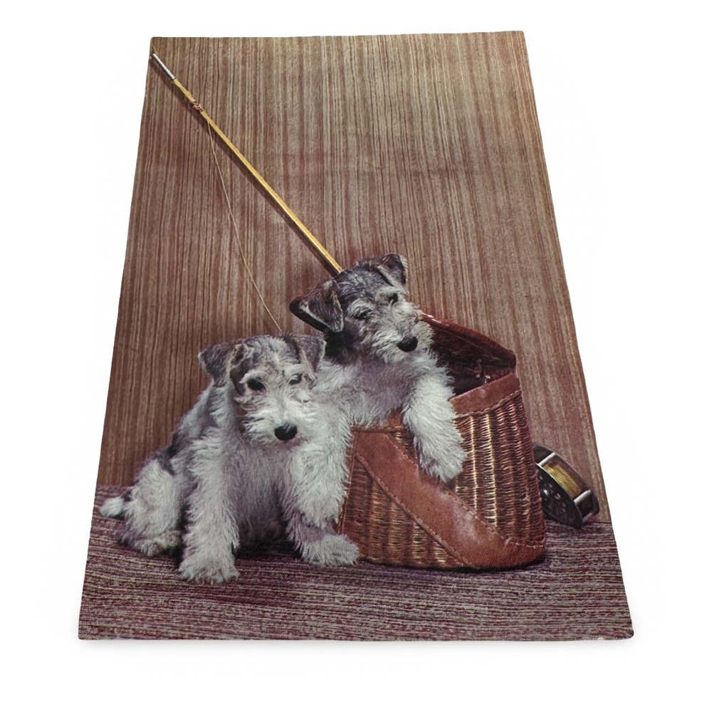 Vintage Plastichrome Terrier Puppies Fishing Creel Postcard Unused New Gray 60s